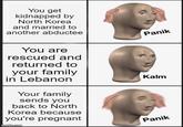 You get kidnapped by North Korea and married to another abductee You are rescued and returned to your family in Lebanon Your family sends you back to North Korea because you're pregnant imgflip.com Panik Kalm Panik