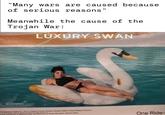 "Many wars are caused because of serious reasons" Meanwhile the cause of the Trojan War: LUXURY SWAN WARNING: 12 Dewy USA, 2411 Drive Phonix A 15034 S of Ac & M Cog No es Cau And, Shag 201312 One Ride-