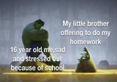 My little brother offering to do my homework 16 year old me,sad and stressed out because of school