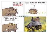 FEELING DOWN? RUN THROUGH FLOWERS FEEL LIKE A PRINCESS! THAT DOODLE GUY