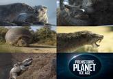 PREHISTORIC PLANET ICE AGE