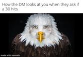 How the DM looks at you when they ask if a 30 hits made with mematic
