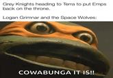 Grey Knights heading to Terra to put Emps back on the throne. Logan Grimnar and the Space Wolves: COWABUNGA IT IS!!
