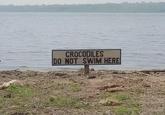 CROCODILES DO NOT SWIM HERE
