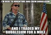 I'M HERE TO ADVENTURE AND CHEW BUBBLEGUM imgflip.com AND I TRADED MY BUBBLEGUM FOR A MULE