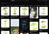 X user @__CRRN__ posted a tweet referring to a Chinese "Green Apple" trend on July 24th alongside a screenshot from the Rednote app showing artworks with the title, "The air is like a green apple."