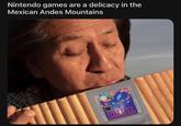 Nintendo games are a delicacy in the Mexican Andes Mountains SMIAL DMG-TR-EUR