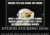 WOW ITS SO COOL UP HERE AWFISH ССС BUT I CANT WAIT TO COME BACK HOME AND GET LOTS OF SNACKS AND HUGS STUPID F------ DOG You will die alone in the cold vacuum of space