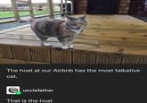 The host at our Airbnb has the most talkative cat. unclefather That is the host