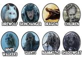 DIREWOLF SKINCHANGER DRAGON CHILDREN WHITE WALKERS GIANTS MAMMOTHS SHADOWCAT