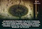 SCIENCE & ASTRONOMY SCIENTISTS FOUND A BLACK FUNGUS AT CHERNOBYL THAT ACTUALLY FEEDS ON NUCLEAR RADIATION, AND MIGHT ONE DAY PROTECT ASTRONAUTS FROM COSMIC RAYS AS A NATURAL "LIVING SHIELD" IN SPACE SCIENCE AND ASTRONOMY LOVERS