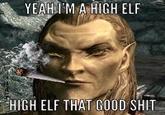 YEAH I'M A HIGH ELF HIGH ELF THAT GOOD S---