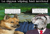 Le Sigma wiping has arrived You seriously expect me to wipe my ass with a decaying tree stump?! Well, not quite. That's actually what the termites here are for.