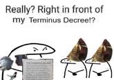 Really? Right in front of my Terminus Decree!? 2% THE TERMINUS DECREE Held in a simple wooden box that only the Supreme Grand Master may open, the Terminus Decree details the Emperor's final command to the Grey Knights Chapter. The Master of Mankind can never be allowed to leave the Golden Throne- either returned to life, reborn in another's body