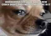 WARHAMMER FANS WHEN THEIR NEW CODEX DROPS AND THERE IS NEW LORE IN IT imgflip.com