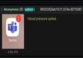 Anonymous (ID: wd5htvli) 08/02/25(Sat) 19:31:33 No.60730367 1 >blood pressure spikes T Teams 6 KB JPG