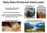 Daily Dose Of Internet starter pack "Thankfully, no one was hurt.” Random lightning strike "Hello everyone this is YOUR Daily Dose of Internet" "One of my subscribers sent me..." "That is the end of the video. Hopefully, I made your day just a little better, and I'll see you guys very soon. Later." Animals acting peculiar Drone shot of nature or his own trip to Scandinavia as the outro