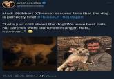westerosies @westerosies Mark Stobbart (Cheese) assures fans that the dog is perfectly fine! #HouseOfTheDragon "Let's just chill about the dog! We were best pals. No canines were launched in anger. Rats, however..." 15:54. 20. 6. 2024. .4K Views