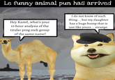 Le funny animal pun has arrived Hey Kamil, what's your 10 hour analysis of the titular prog rock group of the same name? I do not know of such thing... but my daughter no has a huge hump that is just like yours... strange.