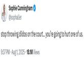 A tweet reading, "stop throwing dildos on the court… you’re going to hurt one of us." The tweet is by WNBA player Sophie Cunningham.