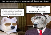 Le manoSphere remnant has arrived So uh, what is your response to all the misogyny allegations... IN SHORT so this doesn't turn into Cerebus The Aardvark. PATRIARCHY # ANDOCENTRISM.