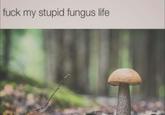 f--- my stupid fungus life