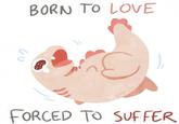 BORN TO LOVE DERDTICES FORCED TO SUFFER