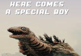 HERE COMES A SPECIAL BOY
