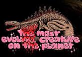 The most evolven creature on the planet