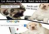 Le Amou Haji Jr. has arrived Bath time, Perro... f--- off I'm busy Google how to smoke animal feces xa J |