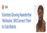 IGN Scientists Growing Neanderthal 'Minibrains', Will Connect Them to Crab Robots