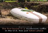 @mechanicalmind The first burial in a mushroom coffin in the U.S. has just taken place