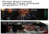 Pirate Basil Hood stealing Cows instead of gold in 1713 The cows on his ship The British Navy who released him after seeing his ship 'You are the worse pirate ever
