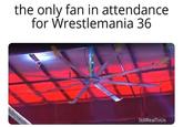 the only fan in attendance for Wrestlemania 36 StillRealToUs
