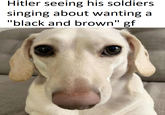 Hitler seeing his soldiers singing about wanting a "black and brown" gf