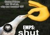 Corax: If there are 18 of us, why am I number 19? imgflip.com EMPS: shut