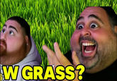 W GRASS?