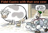 Fidel Castro with that one cow: GOOD moR-NinG UBRE BLANCA..! R