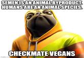 SEMEN IS AN ANIMAL BYPRODUCT. HUMANS ARE AN ANIMAL SPECIES. imgflip.com CHECKMATE VEGANS