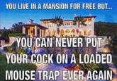 YOU LIVE IN A MANSION FOR FREE BUT... YOU CAN NEVER PUT YOUR C--- ON A LOADED MOUSE TRAP EVER AGAIN
