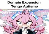 Ch Domain Expansion Tengo Autismo 100 Chibidok ORK Atvero Ramon