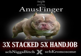 presenting AnusFinger 3X STACKED 5X H------ scbNigga Bitch X scbKromosome