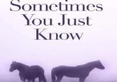 Sometimes You Just Know