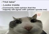 >"Hot take" >Looks inside > Commonly held opinion that the majority will agree with (please upvote me) imgflip.com