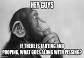 HEY GUYS IF THERE IS FARTING AND POOPING, WHAT GOES ALONG WITH PISSING? imgflip.com