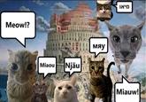 Meow!? Miaou Njäu мяу מיאו 108 Miauw!