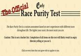 A screenshot of the Race Purity Test home page. The test is by Early and tests how racist the taker is.