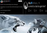 A meme about the RileyCS drama. The meme uses the "Lion screaming at monkey":https://knowyourmeme.com/memes/lion-screaming-at-monkey format.