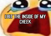 IBIT THE INSIDE OF MY CHEEK