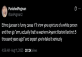 X user @JanPogman2 tweeted, "Ethno guesser is funny cause it'll show you a picture of a white person and then go "erm, actually that's a western Aryanic tibetoid (extinct 5 thousand years ago)" and expect you to take it seriously." The post gathered over 2,000 likes in two days.